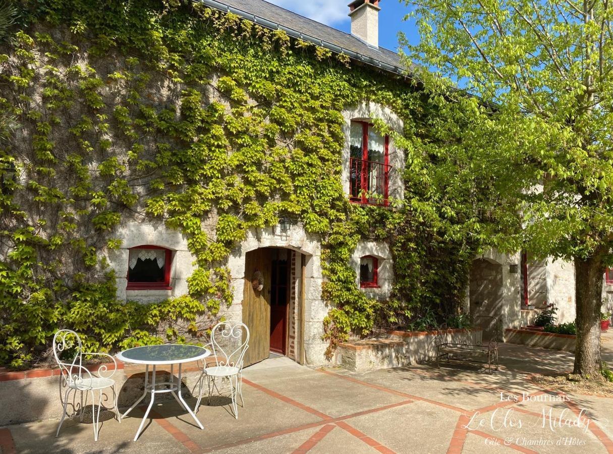 Chambres D'Hotes Les Bournais - Le Clos Milady L'Ile-Bouchard Exterior photo