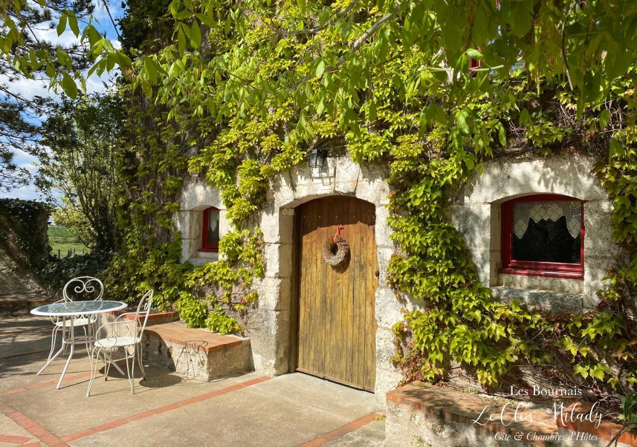 Chambres D'Hotes Les Bournais - Le Clos Milady L'Ile-Bouchard Exterior photo