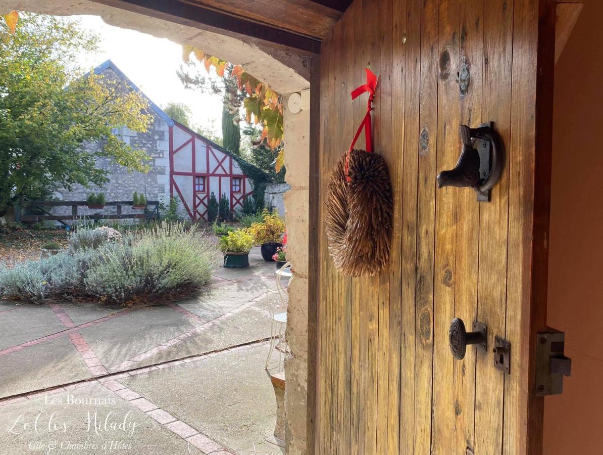 Chambres D'Hotes Les Bournais - Le Clos Milady L'Ile-Bouchard Exterior photo